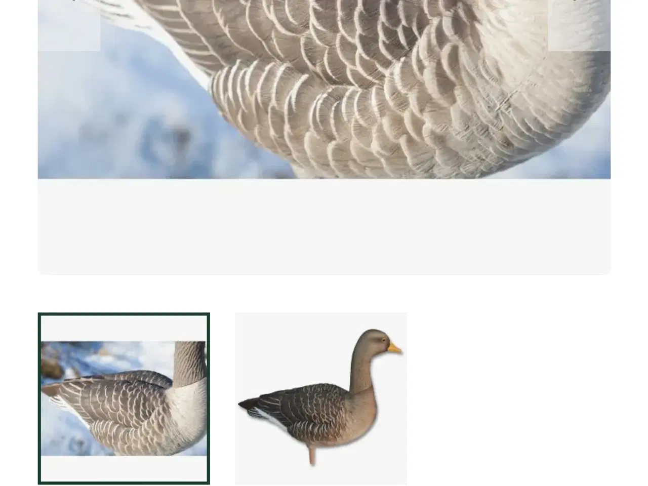 Billede 4 - Avian X lokkegæs/dkwai grågåse kald. Nye!