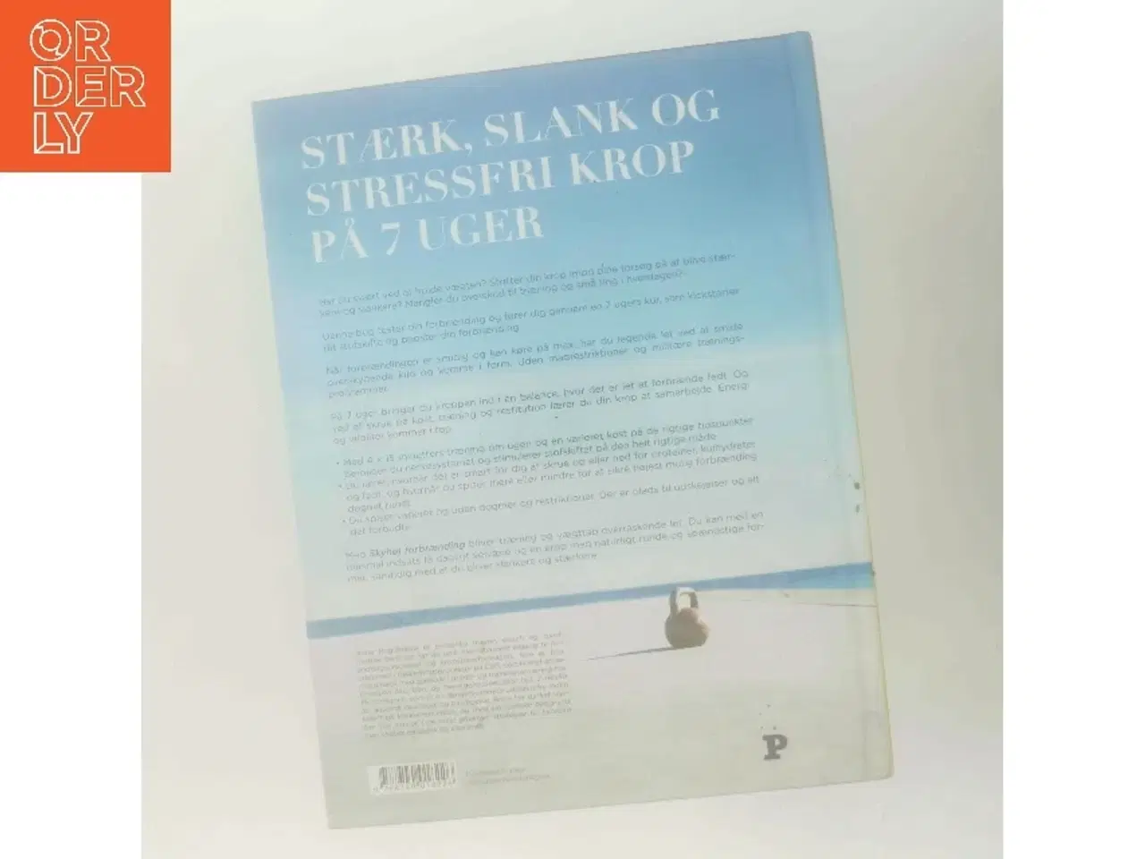 Billede 3 - Skyhøj Forbrænding af Anna Bogdanova (Bog)