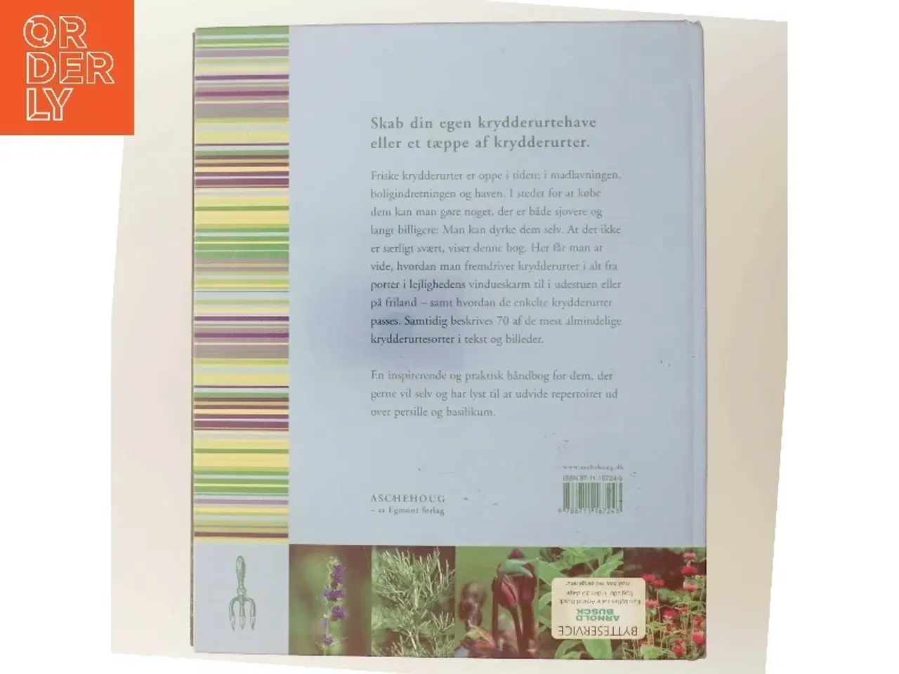 Billede 3 - Dyrk dine egne krydderurter (Bog)