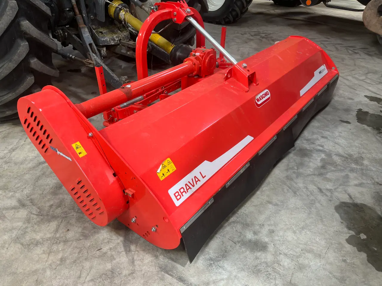 Billede 2 - Brakpudser maschio brava