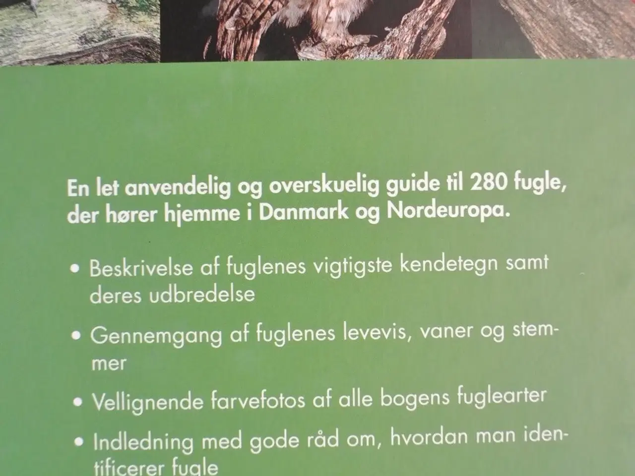 Billede 3 - fugle i danmark og nordeuropa, af peter goodfellow