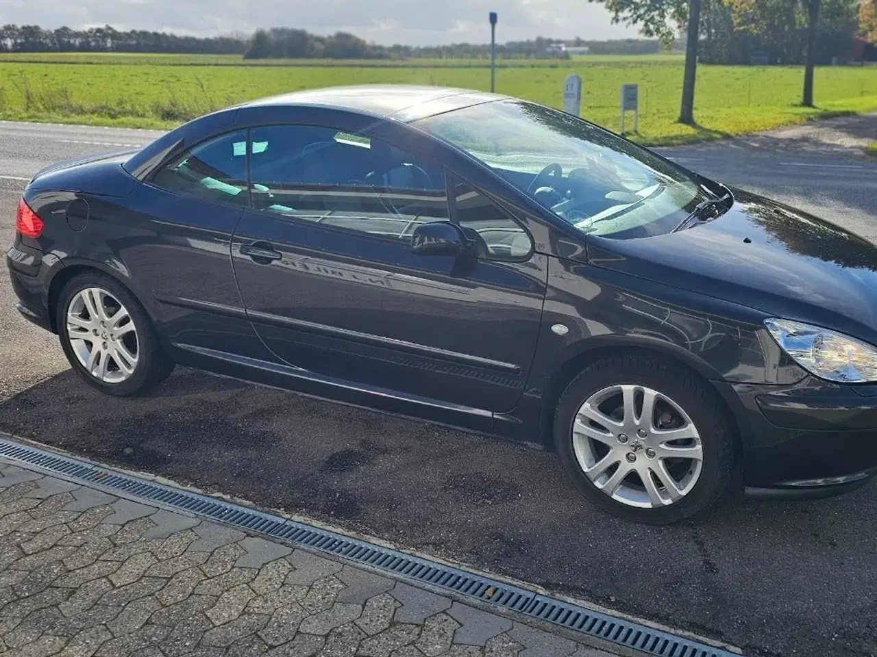 Billede 5 - Peugeot 307 2,0 16V CC