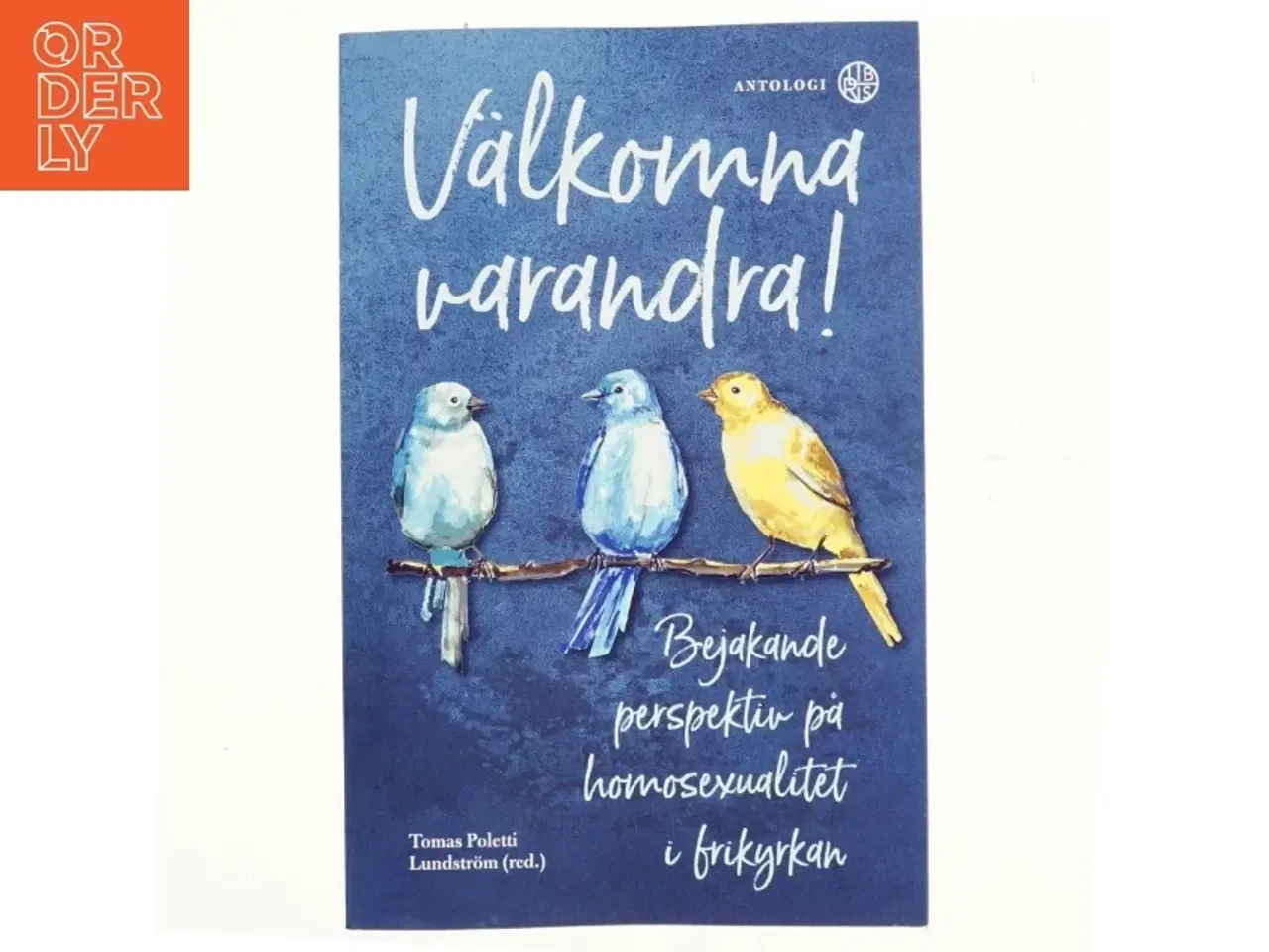 Billede 1 - V&#228;lkomna varandra! af Tomas Poletti