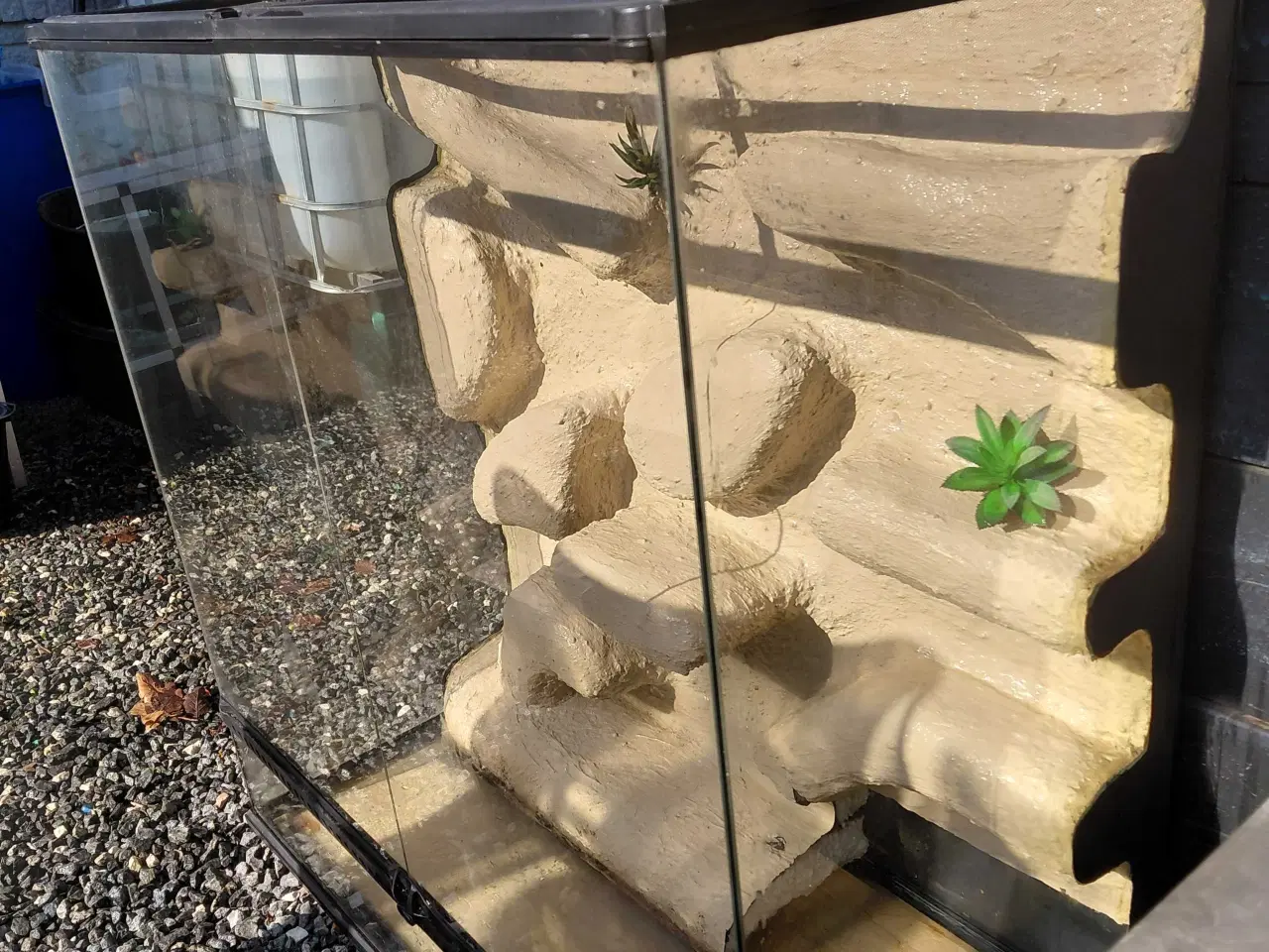 Billede 3 - Terrarium 
