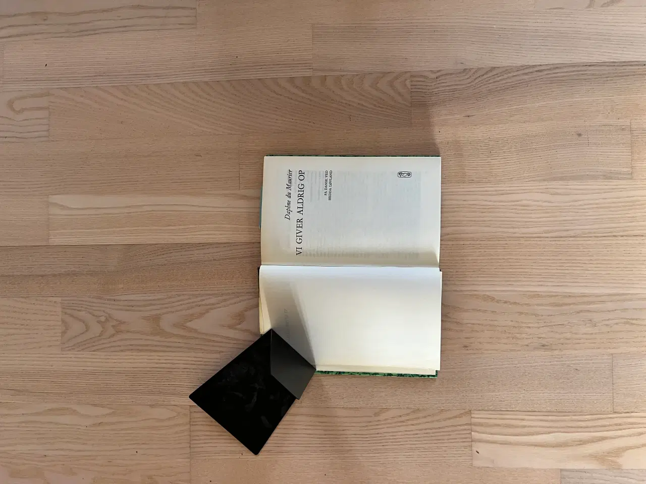 Billede 2 - Vi giver aldrig op af Daphne du Maurier