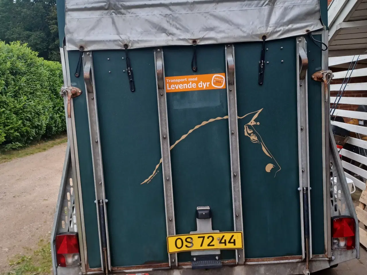 Billede 7 - Bockmann Hestetrailer