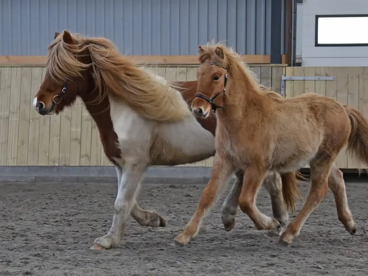 Billede 6 - Juletilbud 