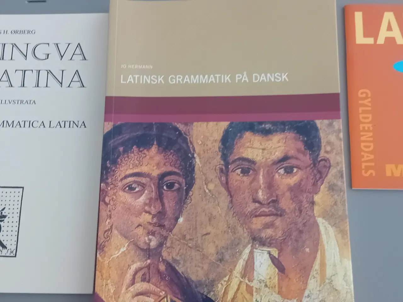 Billede 5 - Latinske lære- og grammatikbøger