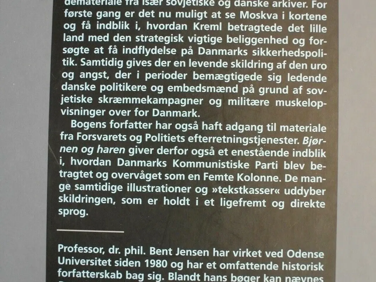 Billede 2 - bjørnen og haren. sovjetunionen og danmark 1945-19