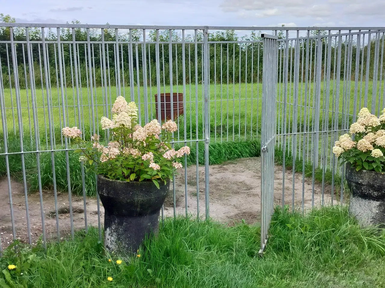 Billede 2 - Hundegård sælges