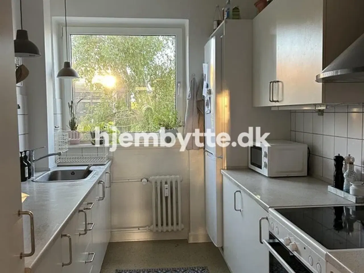Billede 3 - Hjembytte - Banevænget