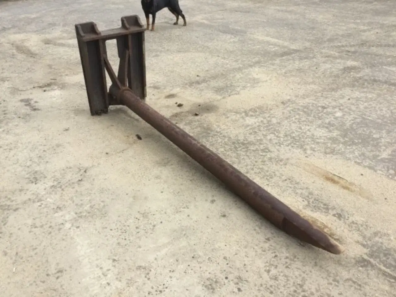 Billede 5 - ELM Spyd