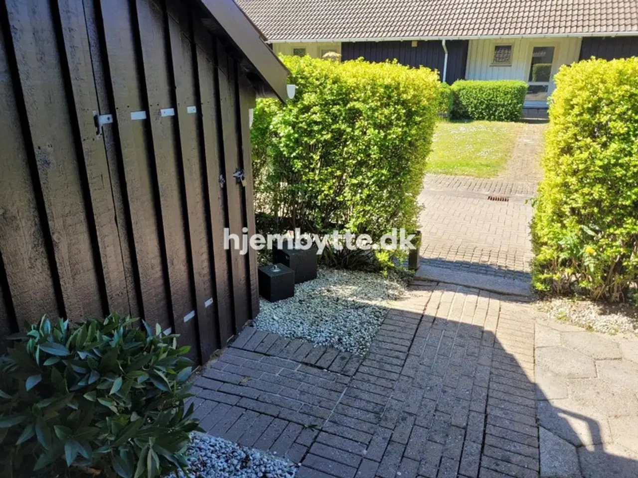 Billede 21 - Hjembytte - Enebærhegnet