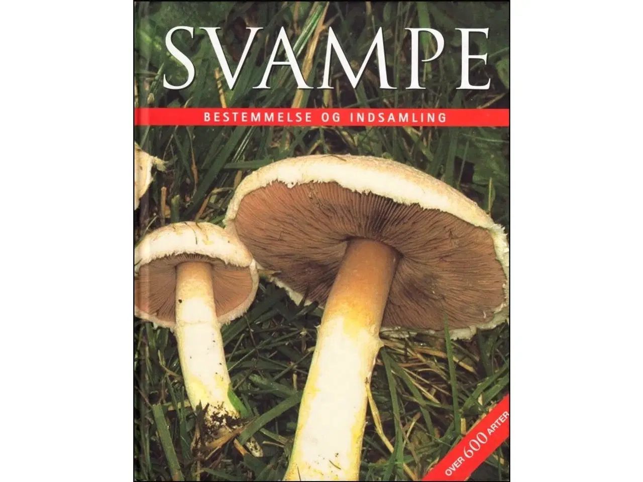 Billede 2 - Svampe - 7 Bøger fra 60 kr.