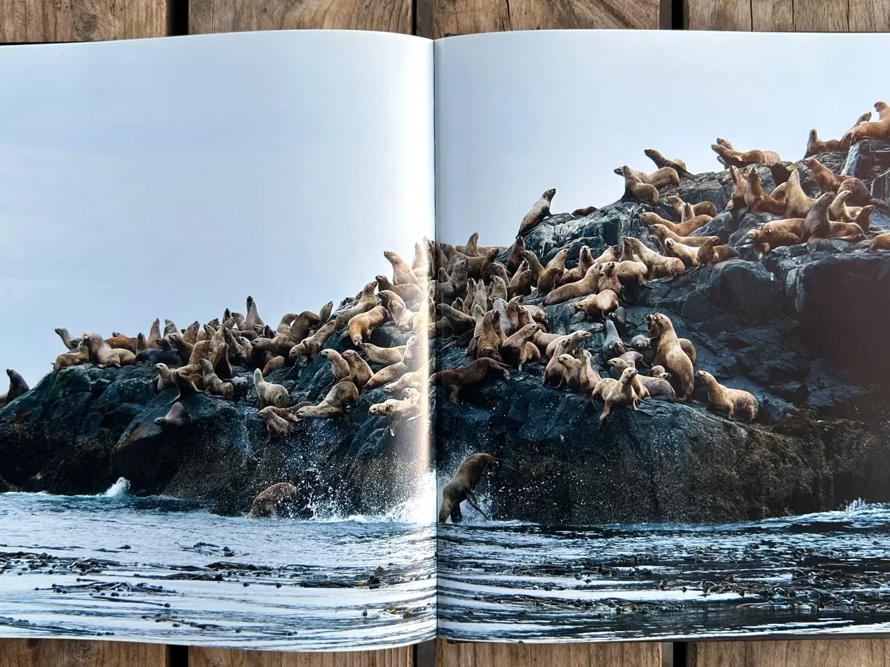 Billede 4 - Wonders of Nature, Jannie Nikola, Dansk og Engelsk