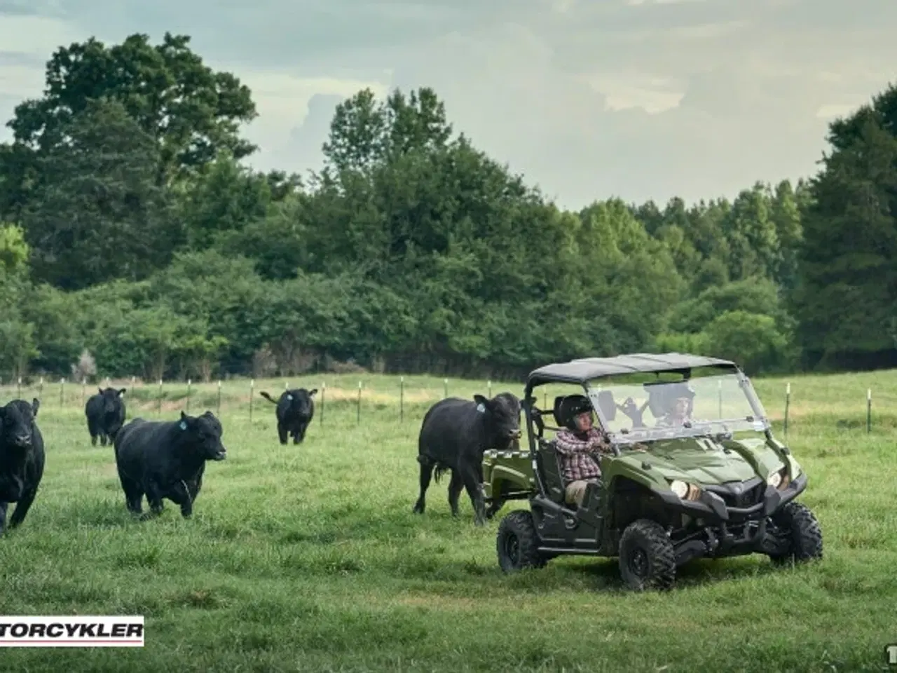 Billede 4 - Yamaha YXM 700 Viking EPS Traktor