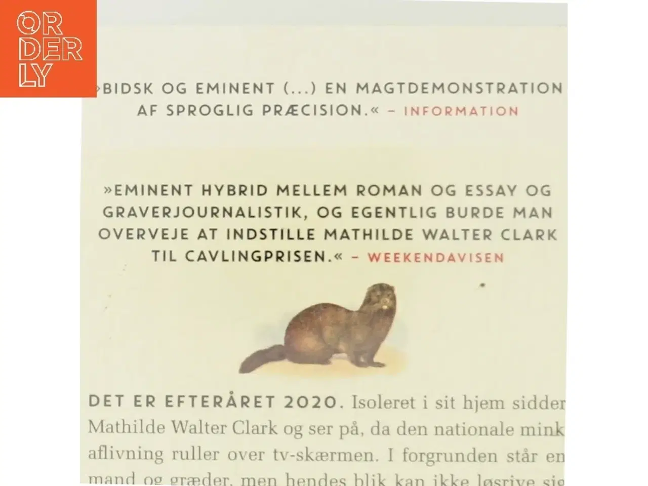 Billede 3 - Det blinde øje af Mathilde Walter Clark (Bog)