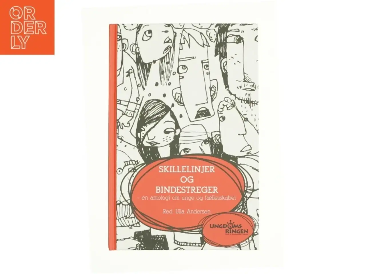 Billede 1 - Skillelinjer og bindestreger (Bog)