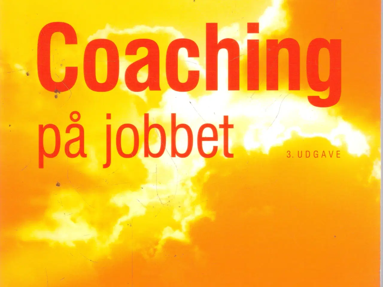 Billede 1 - Coaching på jobbet