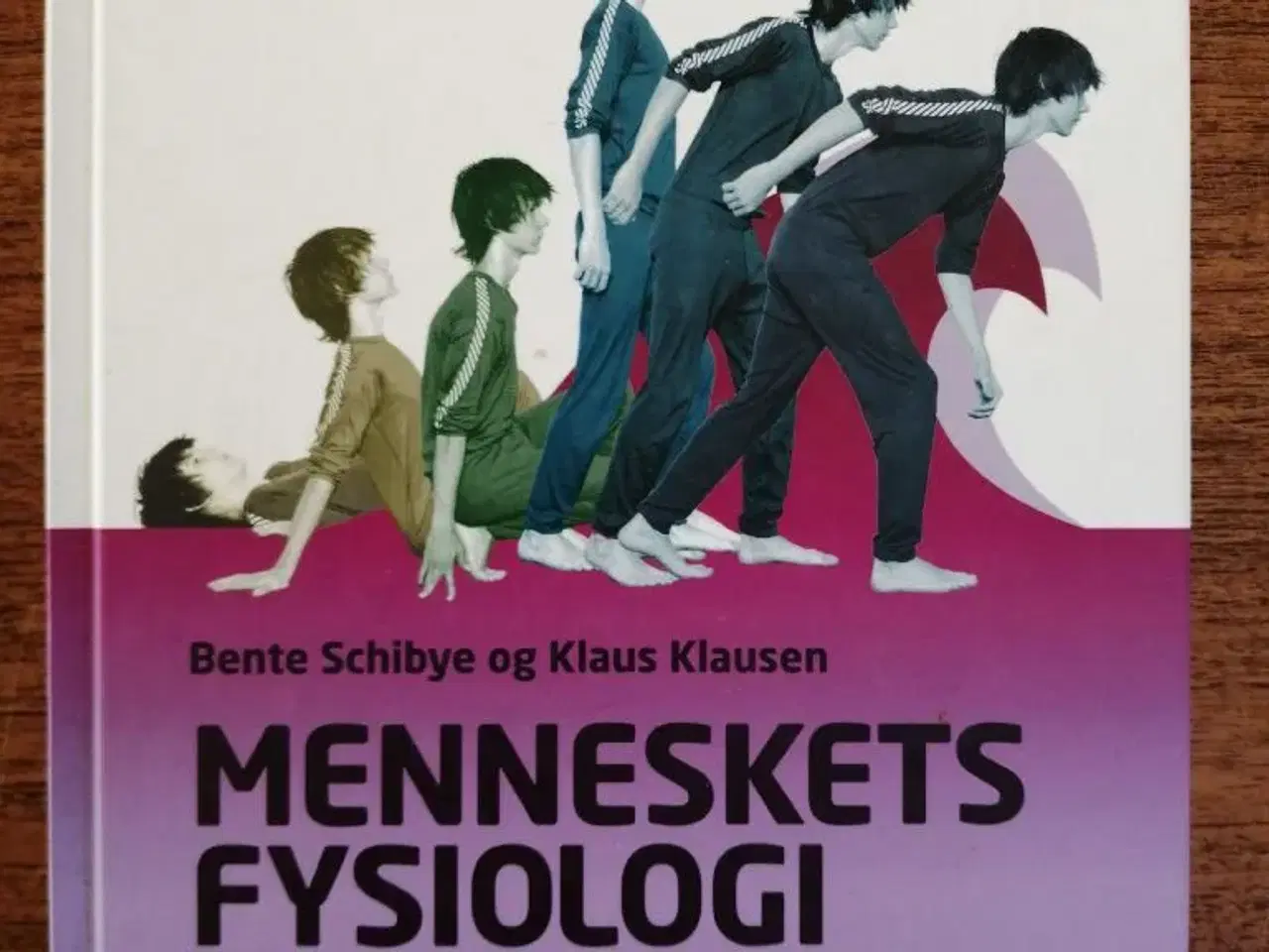 Billede 1 - Menneskets fysiologi