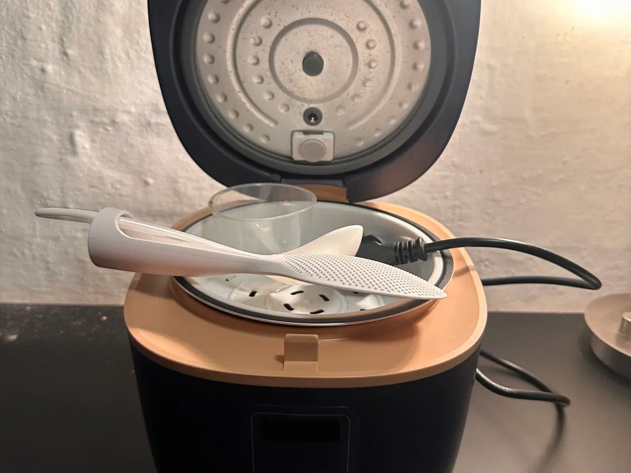 Billede 4 - Konka riskoger