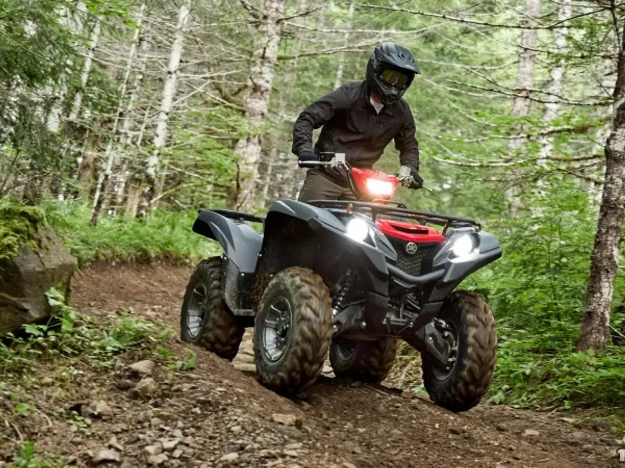 Billede 2 - Yamaha YFM 700 Grizzly EPS