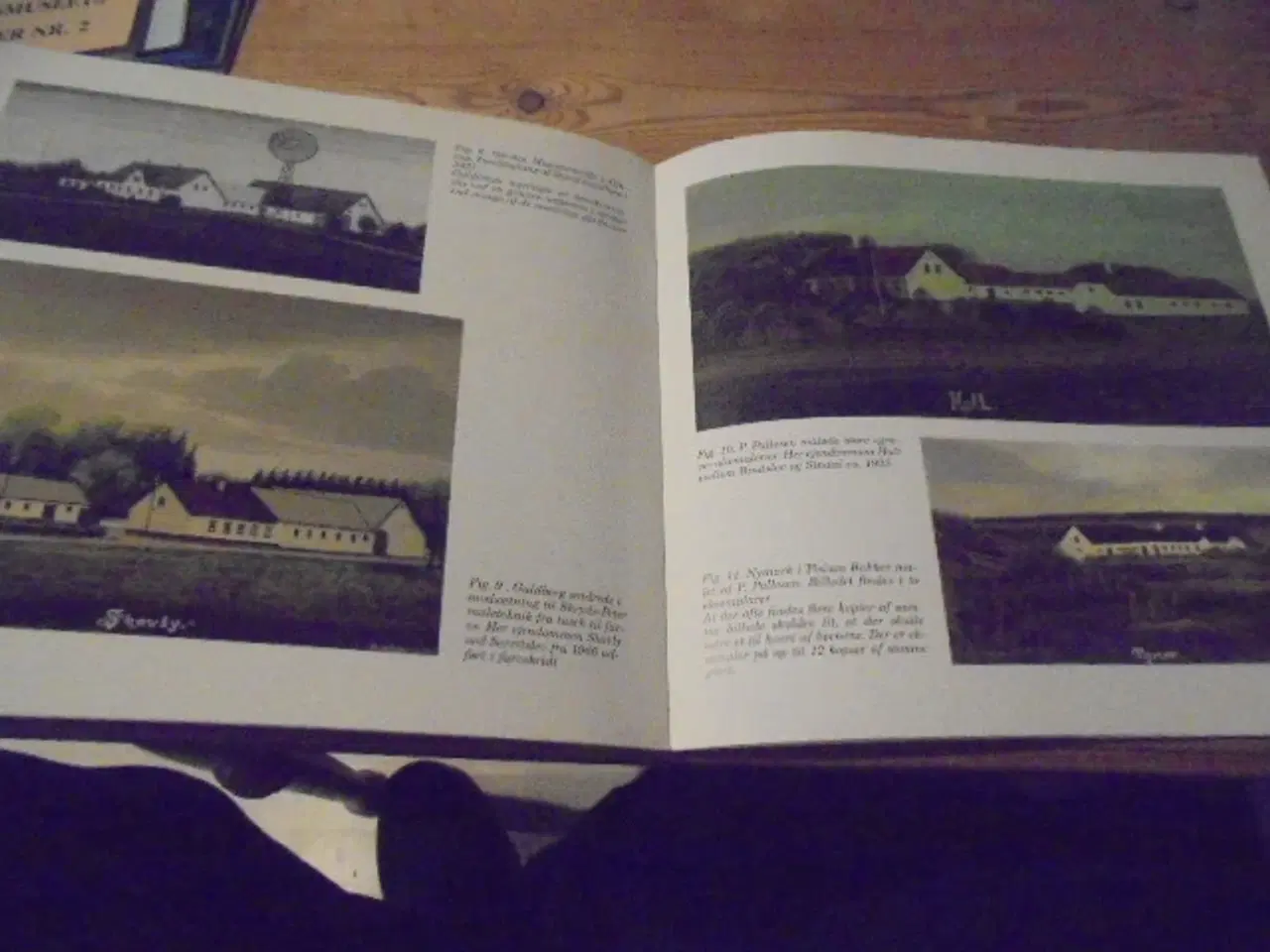 Billede 3 - Gårdmalerier – særtryk fra 2004