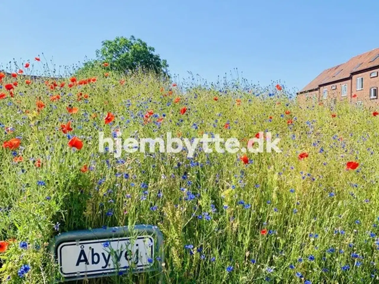 Billede 8 - Hjembytte - Åbyvej