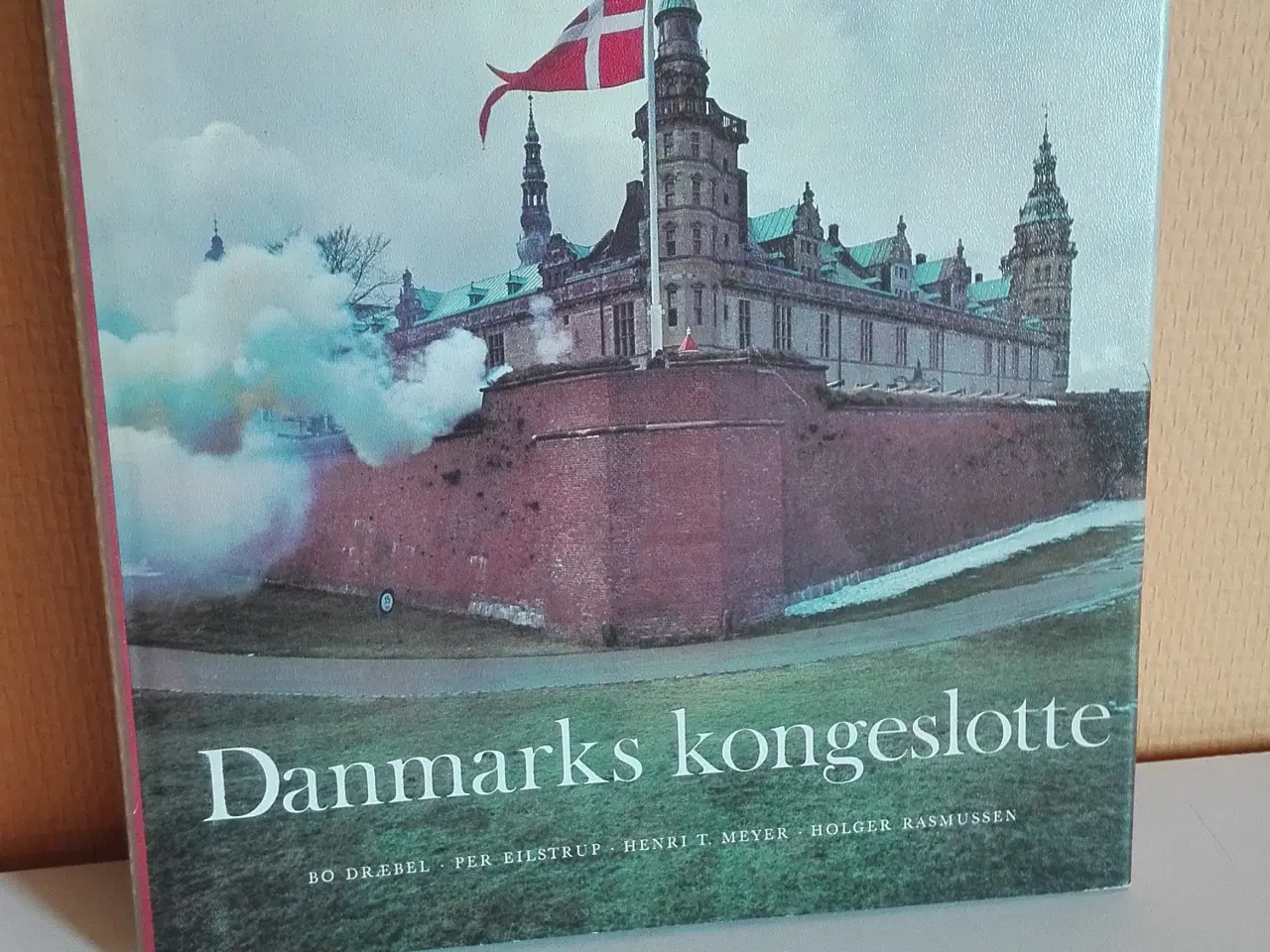 Billede 1 - Danmarks kongeslotte