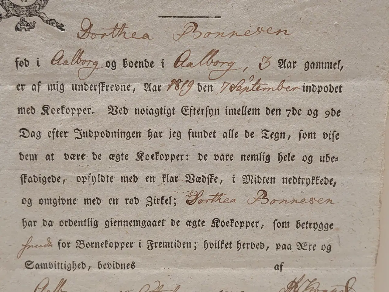 Billede 3 - Indpodningsattest for kokopper fra 1819