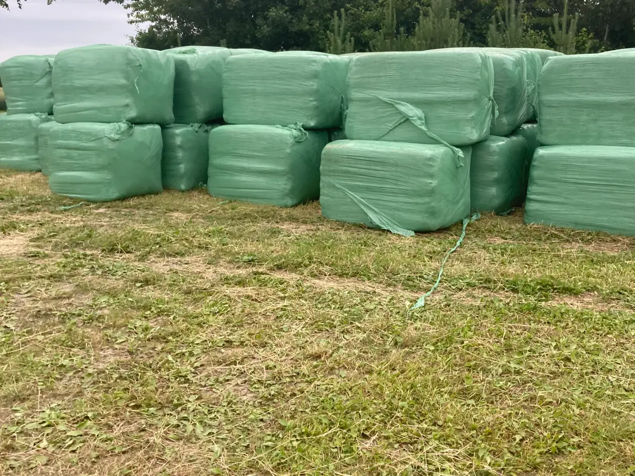 Billede 1 - Wrap fra 2025 første slet