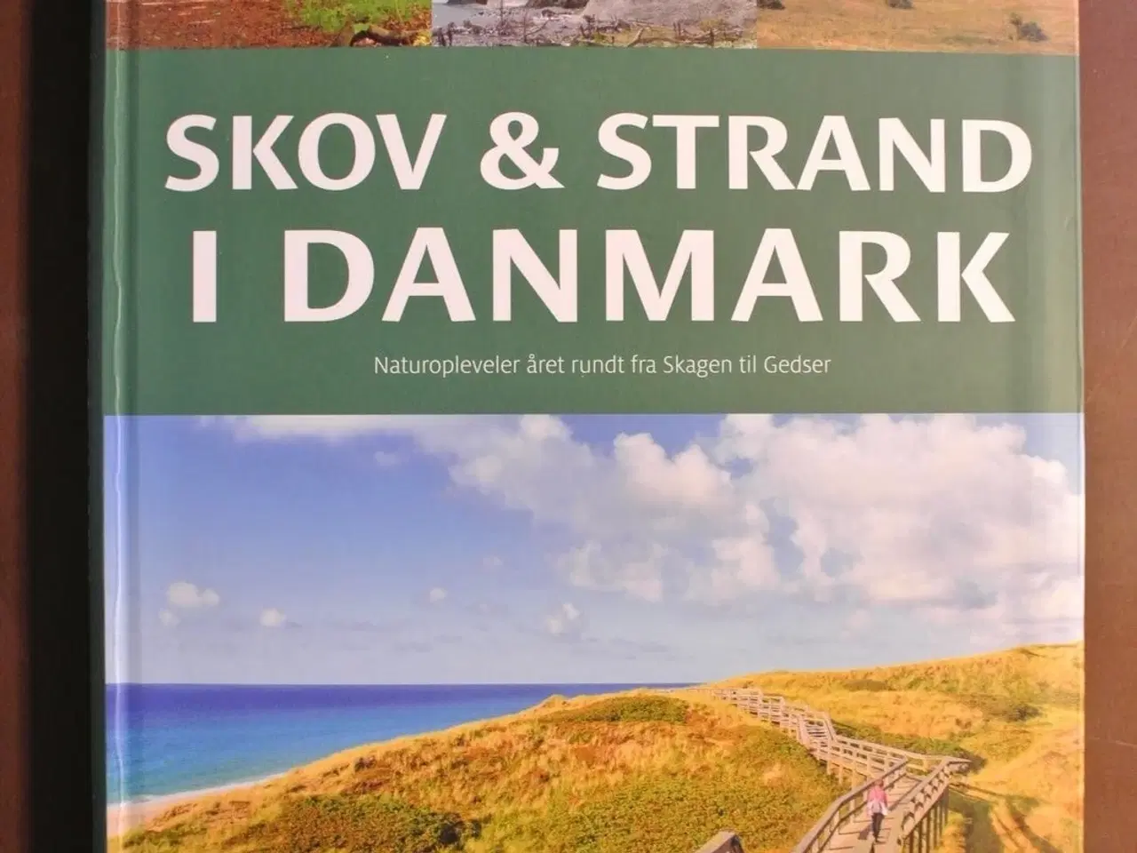 Billede 1 - skov og strand i danmark, af søren olsen