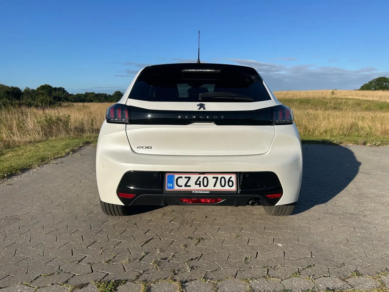 Billede 6 - Peugeot 208 1,2 PureTech 100 Evolution