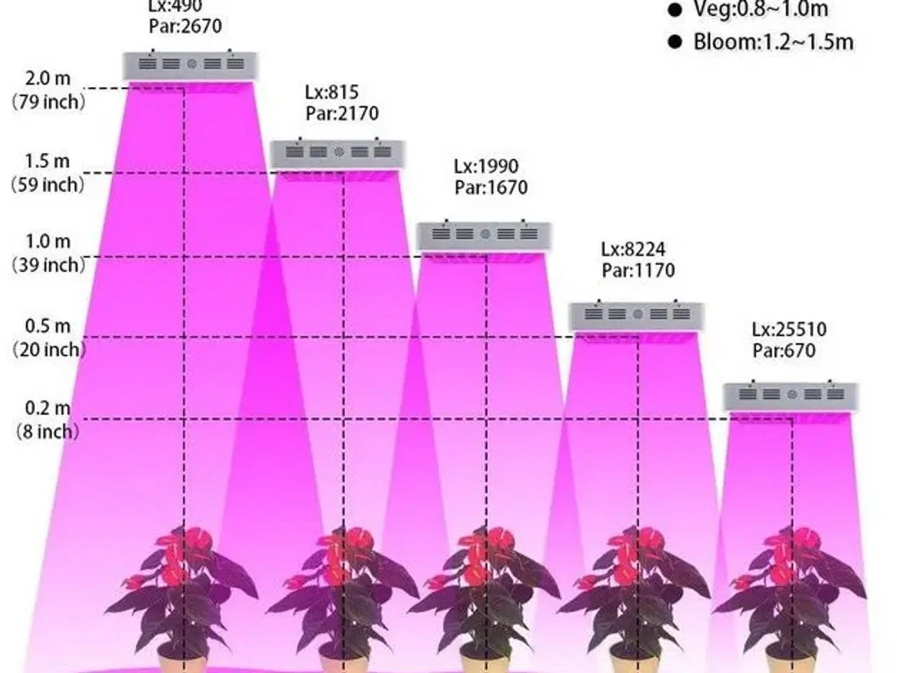 Billede 2 - DILIYA - 300W 100 LED Plant Grow Plant 