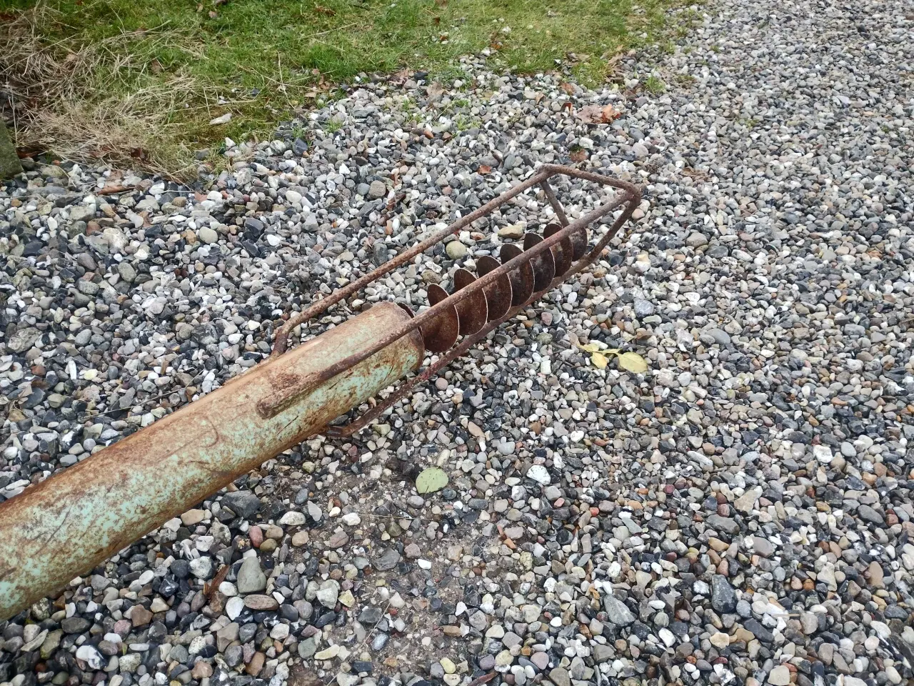 Billede 4 - Gedigen kornsnegl