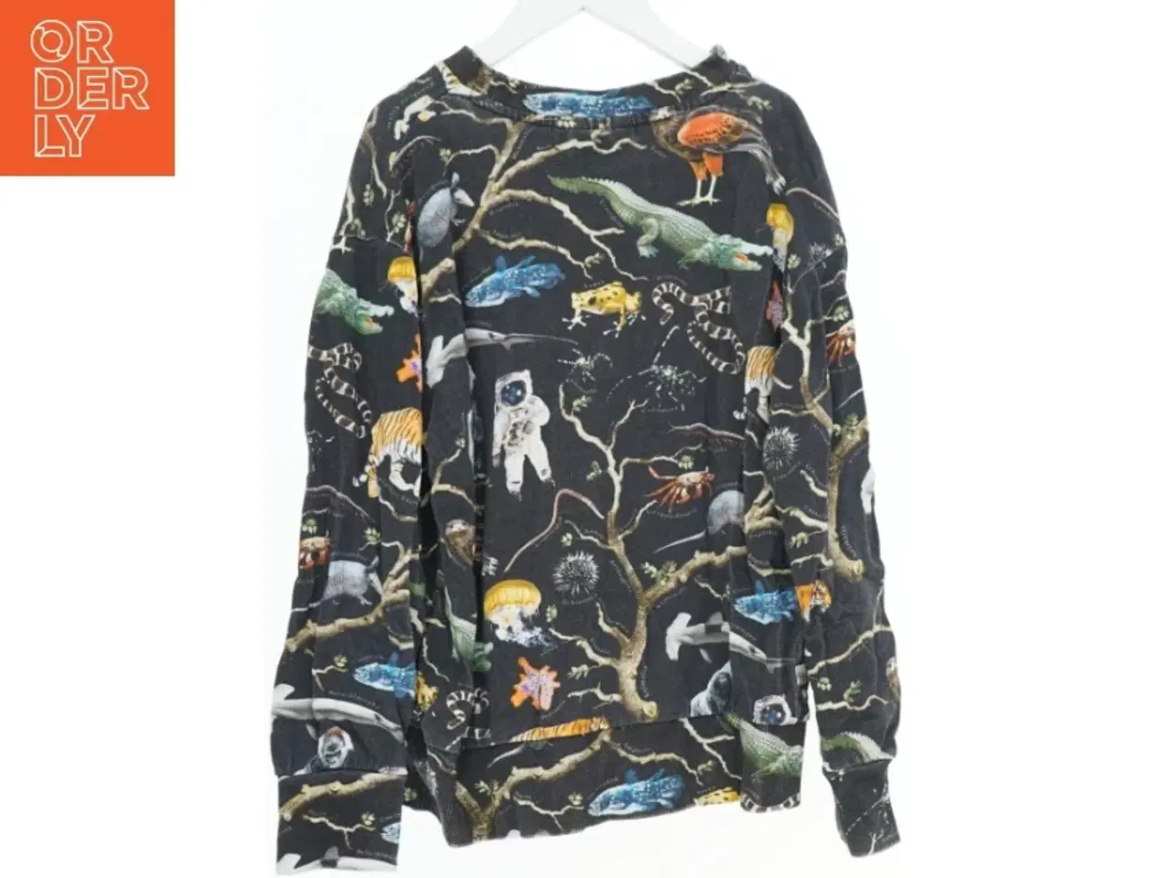 Billede 2 - Sweatshirt med dyremotiver fra Molo (str. 152)