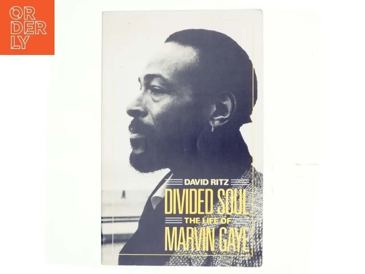 Billede 1 - Divided Soul af David Ritz (Bog)