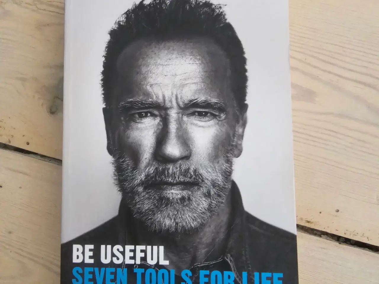 Billede 3 - Jordan Petersen, Arnold Schwarzenegger, Nassim Tal