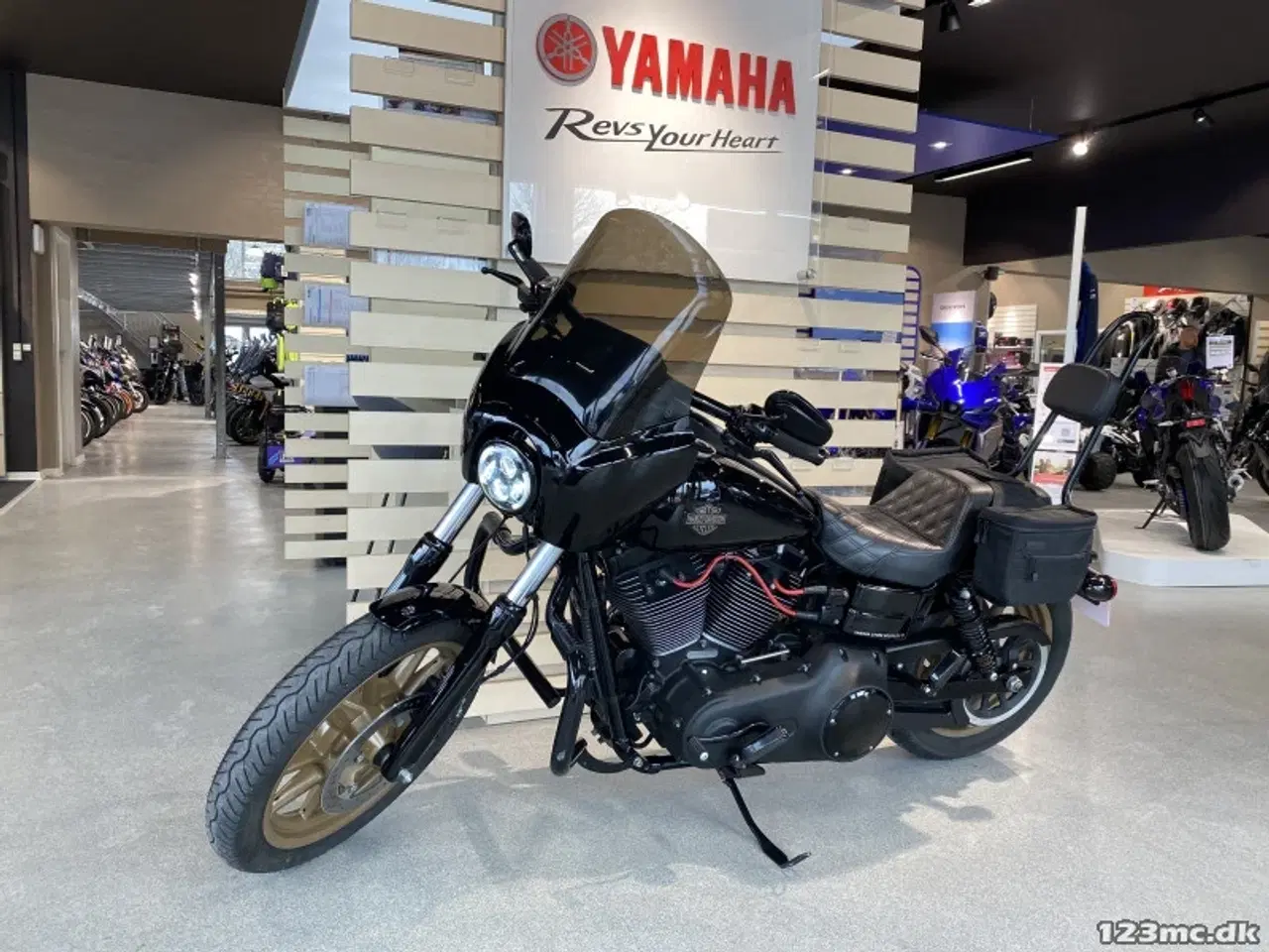 Billede 14 - Harley-Davidson FXDLS Dyna Low Rider S