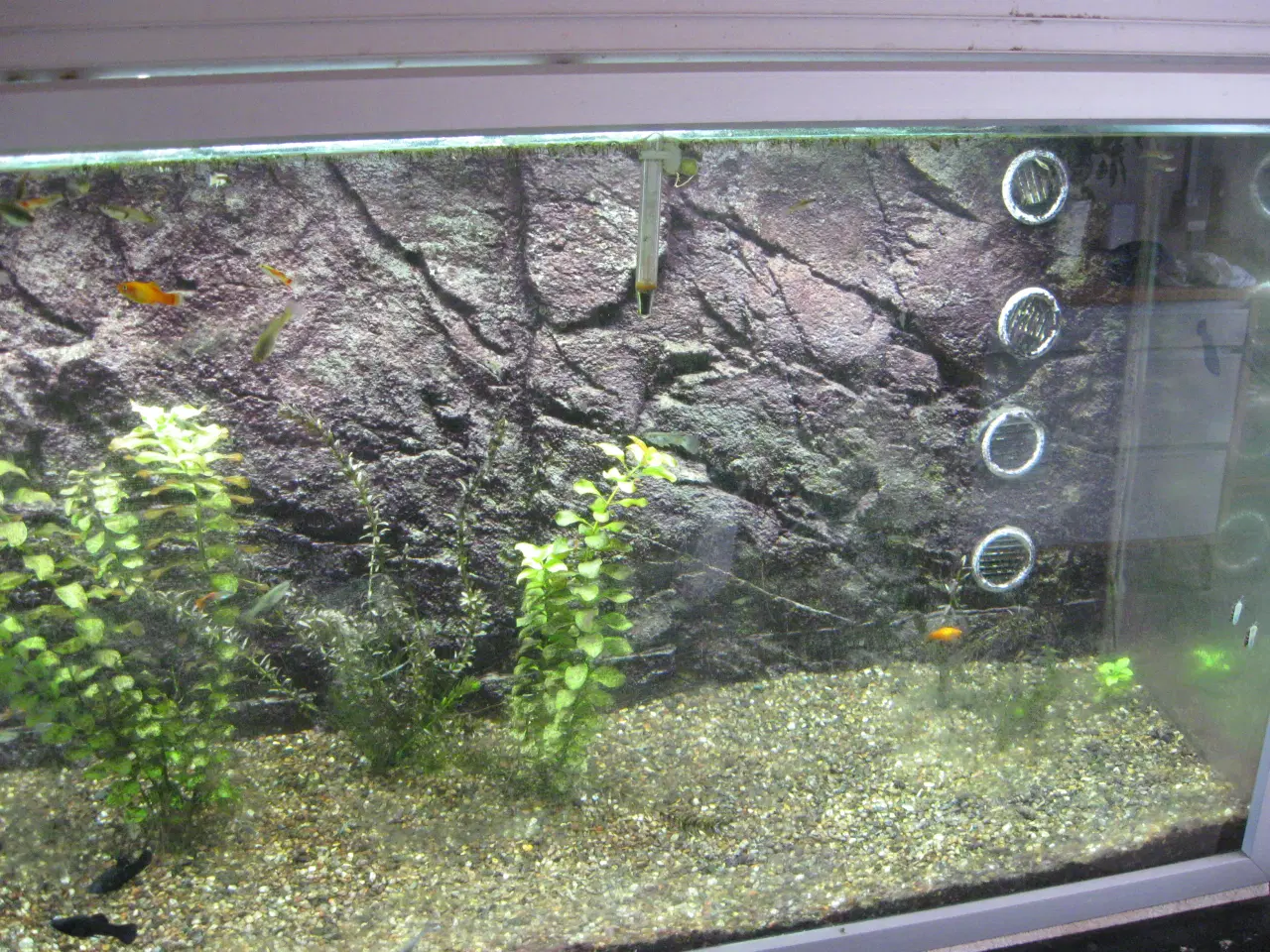 Billede 4 - 525 L Akvarie med med bord