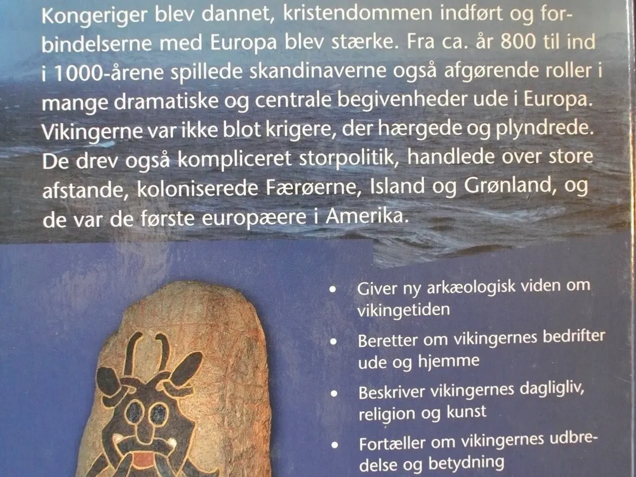 Billede 4 - vikingernes verden, af else roesdahl, emne: histor