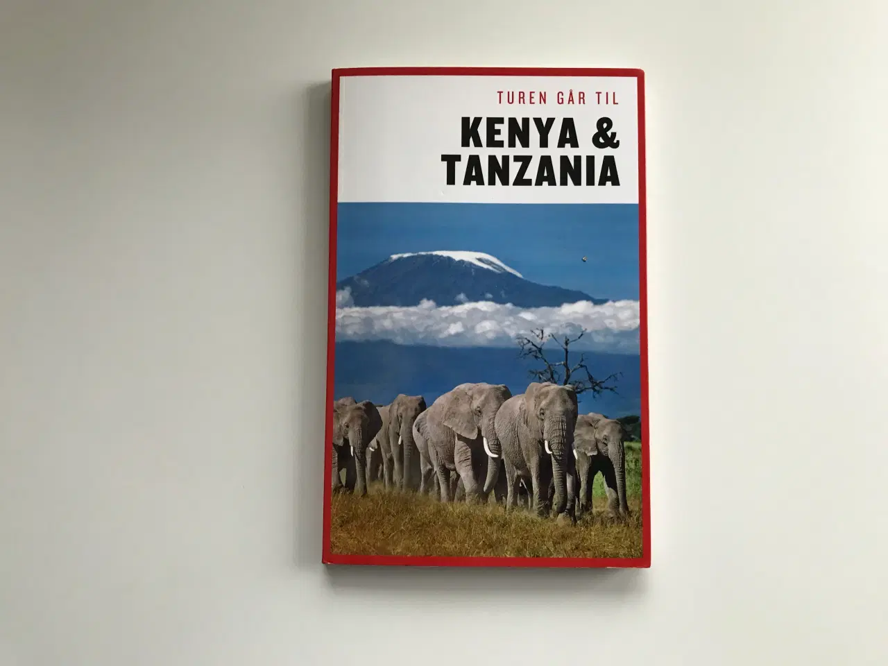 Billede 1 - Turen går til Kenya & Tanzania