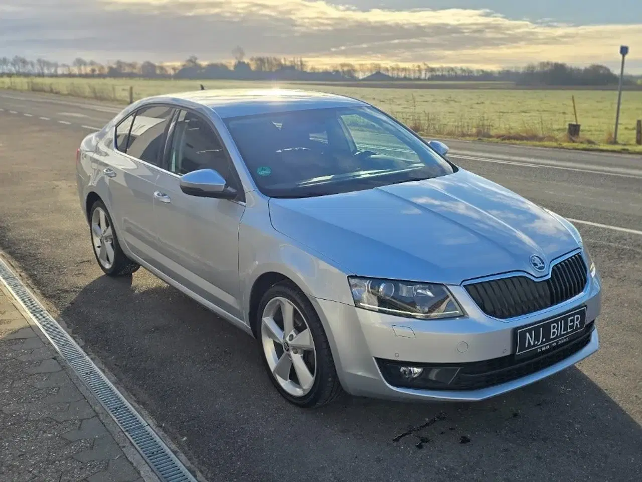 Billede 4 - Skoda Octavia 2,0 TDi 150 Elegance DSG