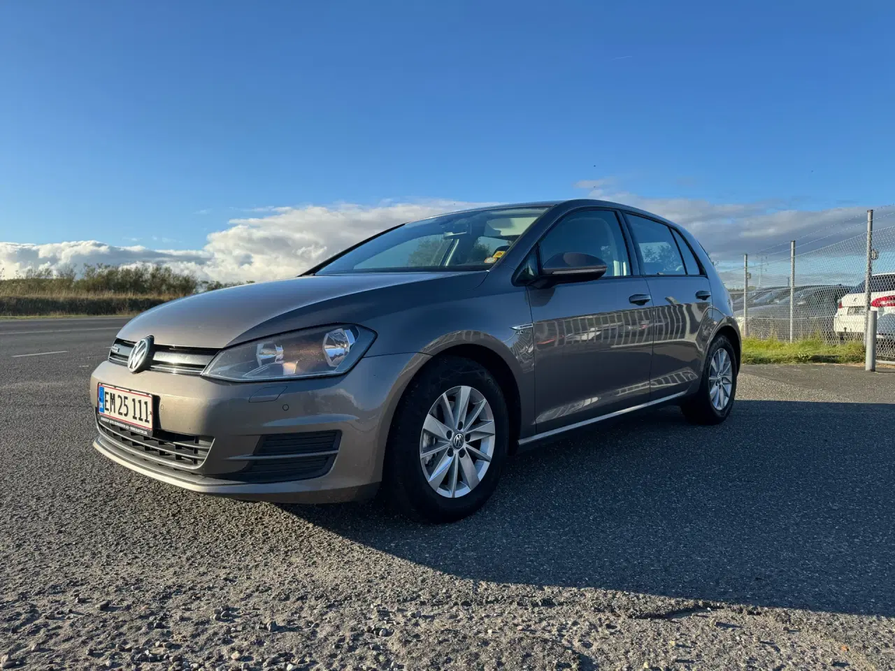 Billede 1 - VW Golf 1,6 TDI BMT 40 Years Edition 110HK 5d 6g