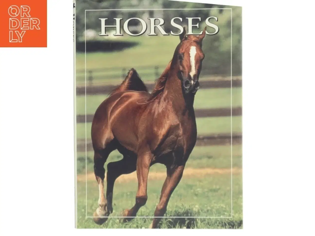 Billede 1 - World of Horses af Angela Rixon (Bog)