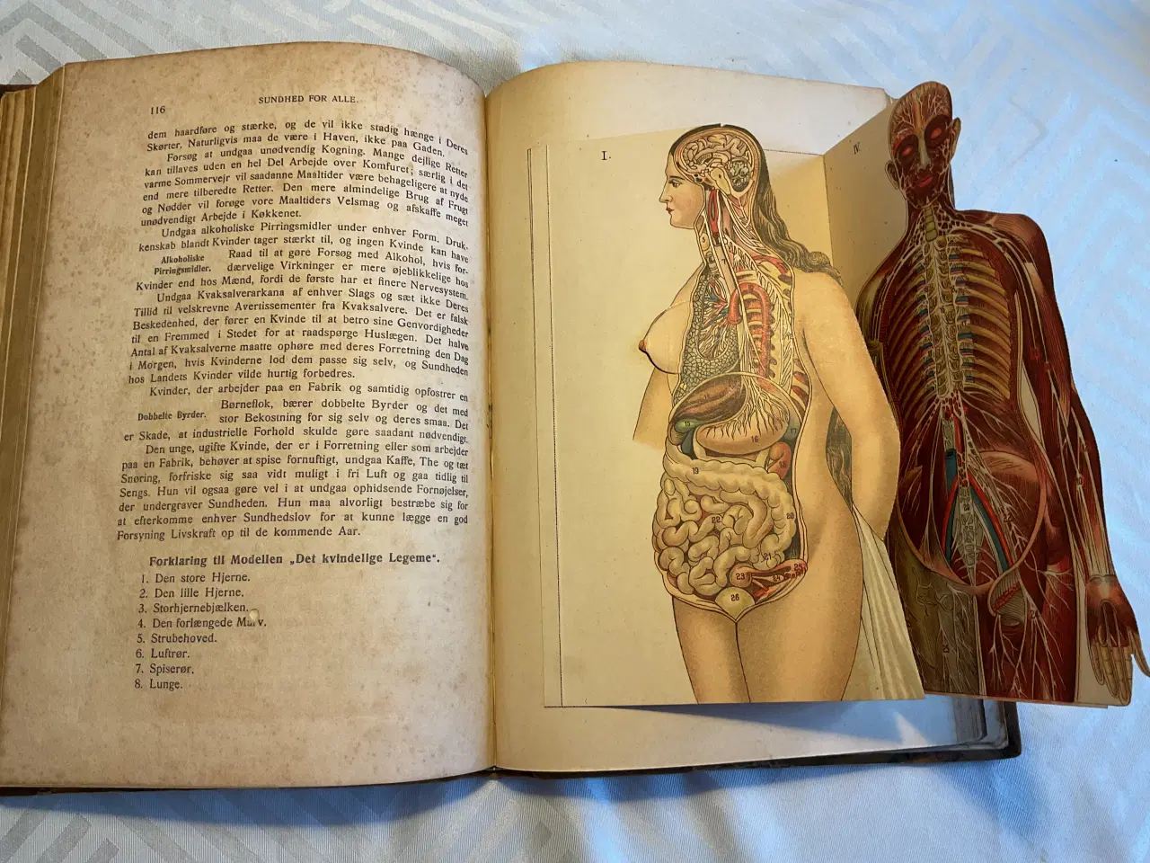 Billede 2 - Antik lægebog fra 1915, 
