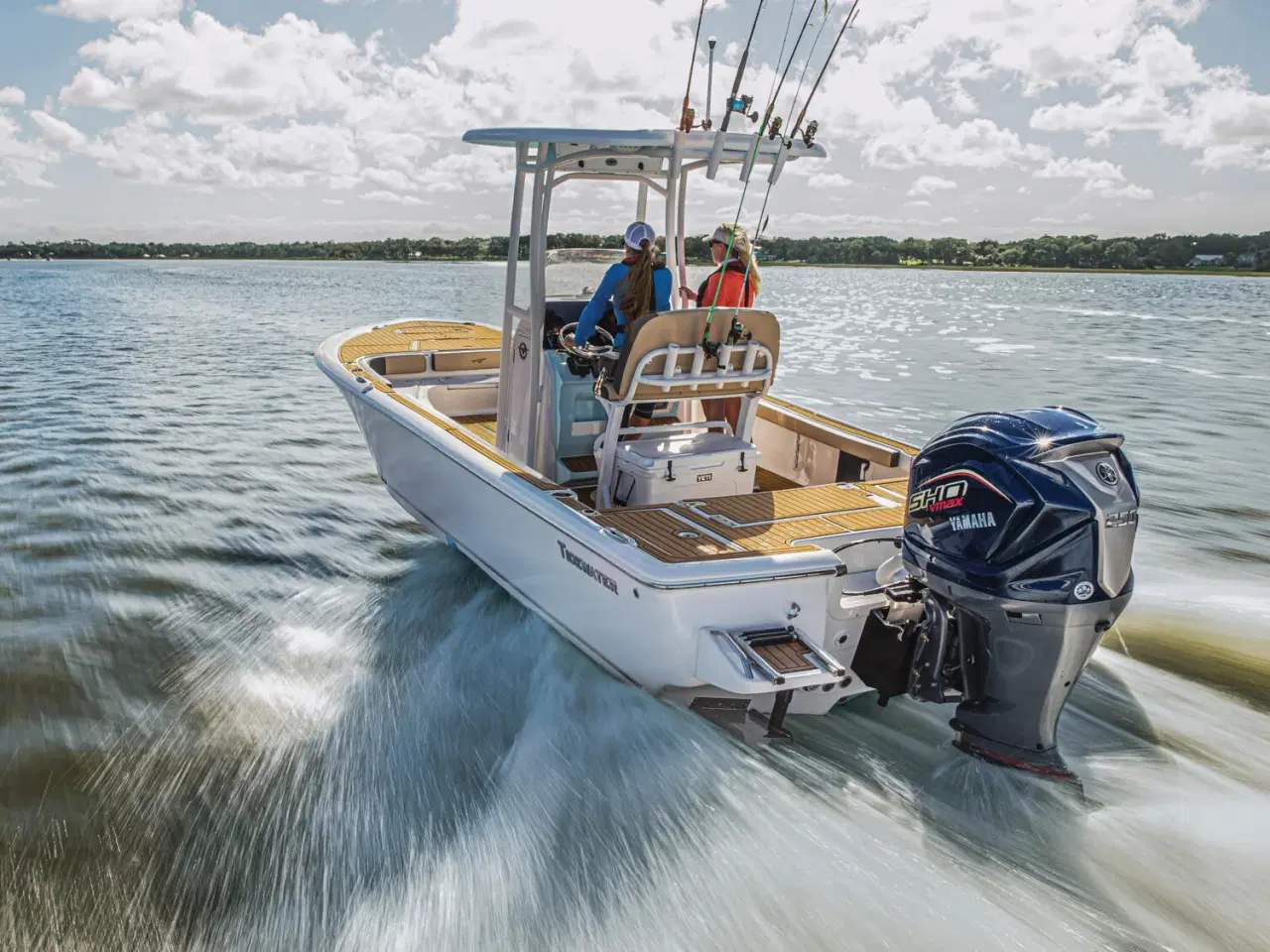 Billede 9 - Yamaha VF250LB V-Max SHO