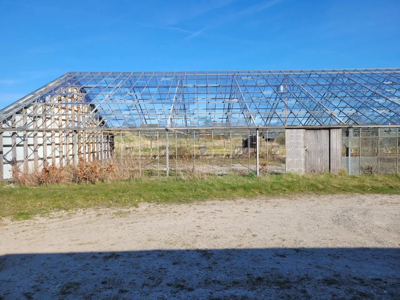 Billede 5 - Drivhus på 1000 m2