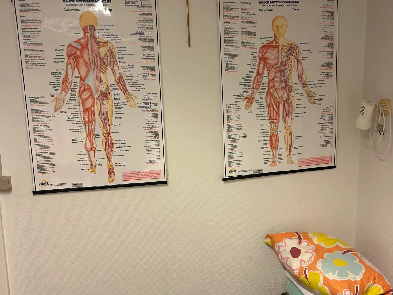 Billede 9 - Klinik udstyr el briks ,el behandler stol