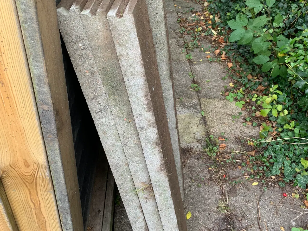 Billede 2 - 12 m beton kantsten